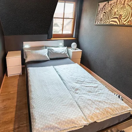 Apartment In Austria Near Ski Lift, Cleaning Included Apartment Herrischried
